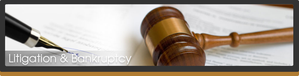 Litigation & Bankruptcy